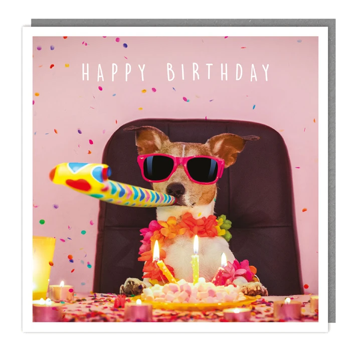Light Hearted - Blank - Cool Doggie