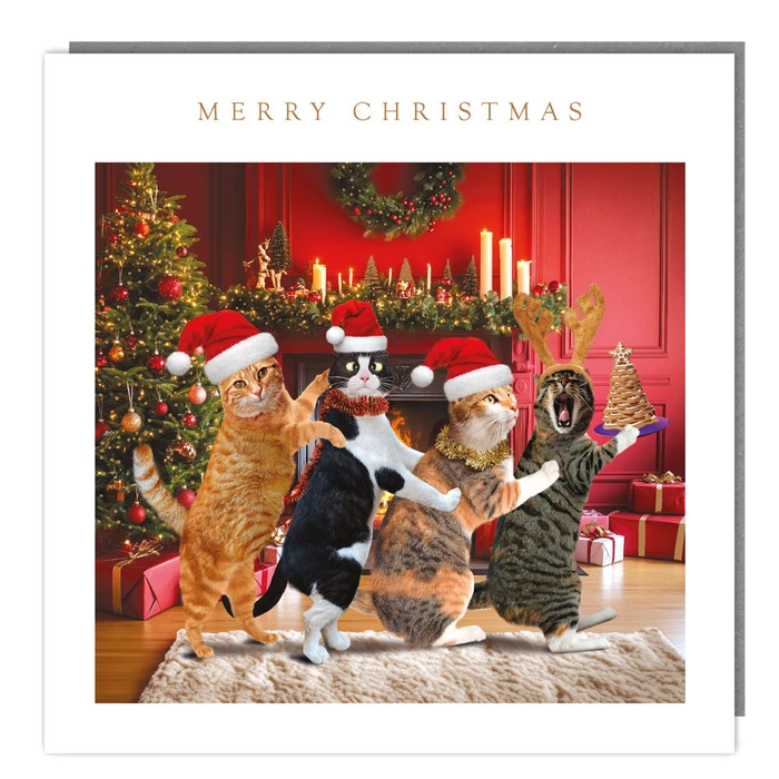 Pack Of 5 - Christmas Cat Conga - 140X140 - Foil - Rt