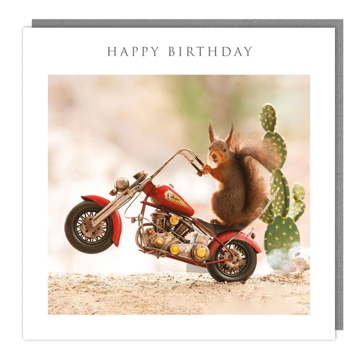 Light Hearted Collection - Bd - Squirrel Biker