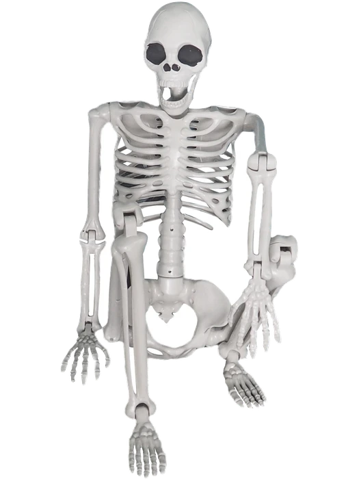 Lifesize Hanging Skeleton Prop