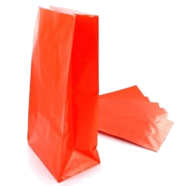 (12) Paper Party Bags Orange